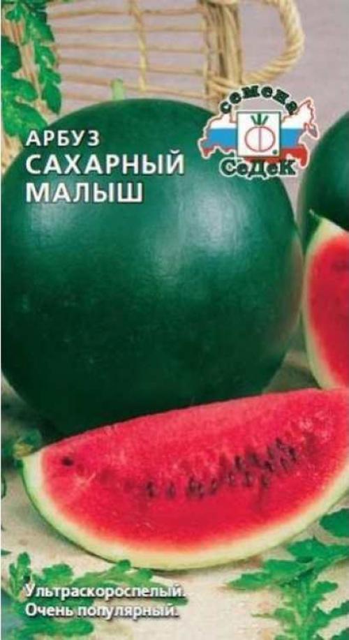 Самые урожайные сорта арбузов. Ранние сорта