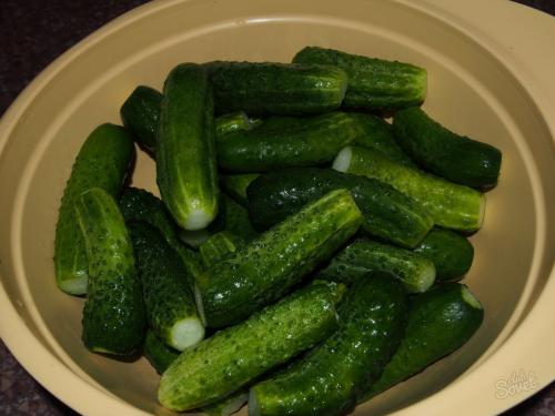 Как избавиться от горечи в огурцах. Какие условия нужны для огурцов? 03 Как избавиться от горечи в огурцах. Какие условия нужны для огурцов? 03