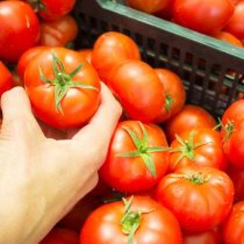 Какие растения лучше высаживать в местах с хорошей солнечной экспозицией, чтобы они не пострадали от заморозков. Как защитить растения от мороза