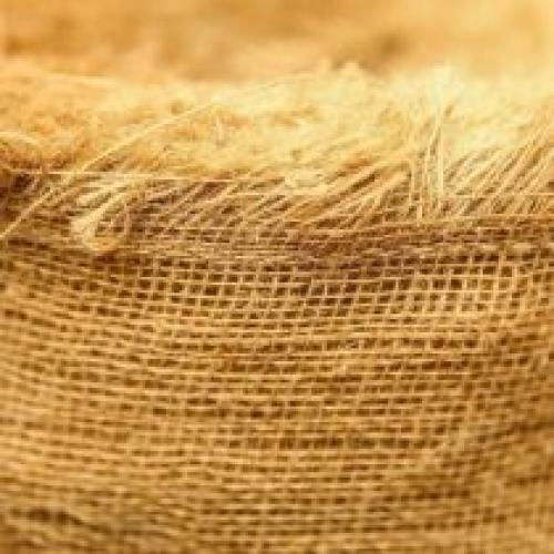 Какие растения лучше высаживать в местах с хорошей солнечной экспозицией, чтобы они не пострадали от заморозков. Как защитить растения от мороза