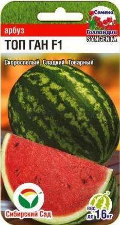 Длинный арбуз сорт. СОРТА АРБУЗОВ