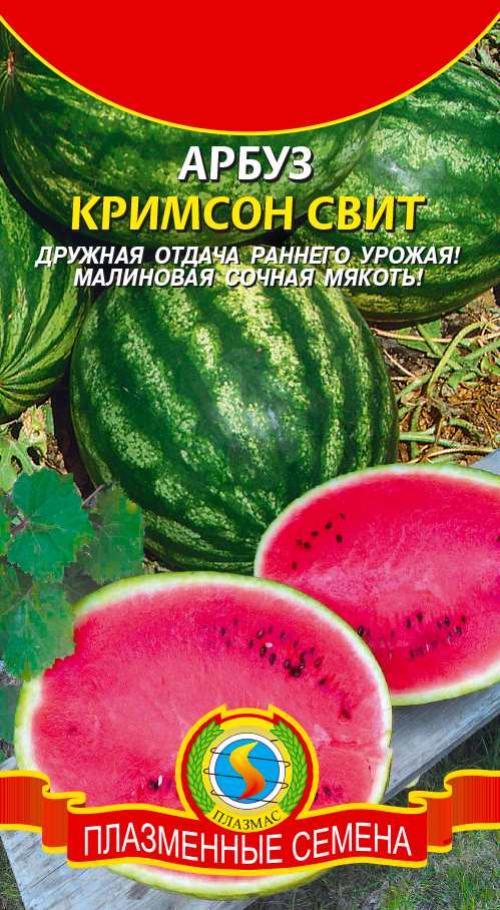 Длинный арбуз сорт. СОРТА АРБУЗОВ