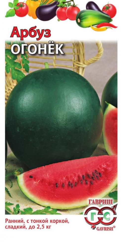 Длинный арбуз сорт. СОРТА АРБУЗОВ