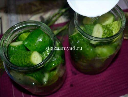 Огурцы на зиму: как закатать 1 литровую банку 10