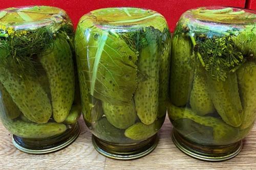 Как правильно залить огурцы маринадом. 15 отличных рецептов маринада для огурцов на зиму