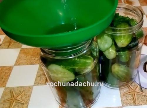 Какие ингредиенты нужны для закатки огурцов на 1 литровую банку на зиму. Хрустящие огурцы в литровых банках с лимонной кислотой