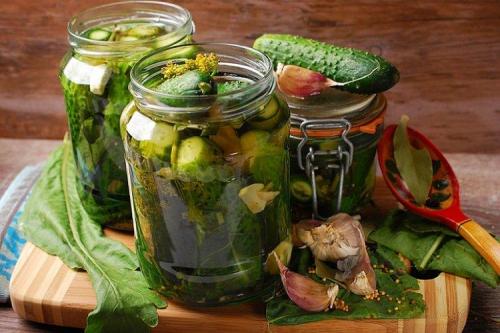 Как хранить закаченные огурцы на зиму. 20 очень вкусных заготовок из огурцов на зиму