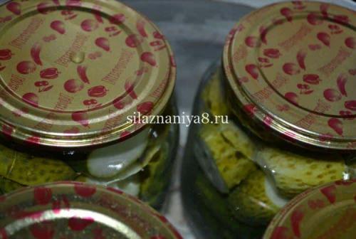 Огурцы на зиму: как закатать 1 литровую банку 11