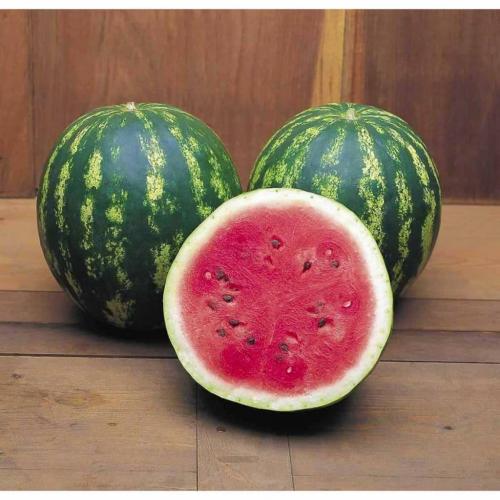 Какие сорта арбузов существуют. СОРТА АРБУЗОВ 20