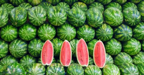 Какие сорта арбузов существуют. СОРТА АРБУЗОВ 07