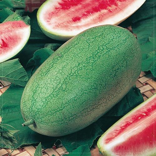 Какие сорта арбузов существуют. СОРТА АРБУЗОВ 09