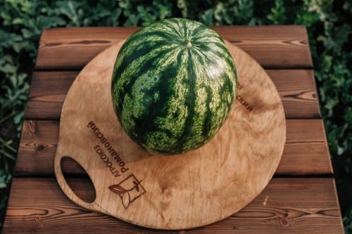 Бахча в краснодарском крае. Арбузы оптом от производителя