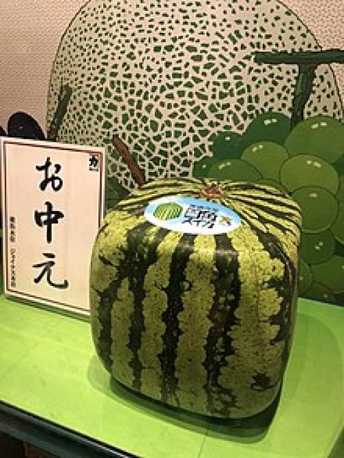 Где находится родина арбузов. Что это – ягода или фрукт? 01