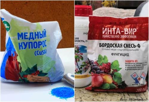 Подготовка грядки осенью для клубники. Подготовка почвы