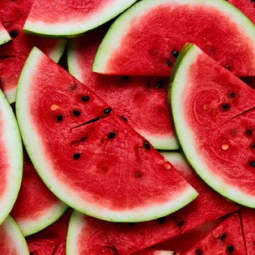 Страны-лидеры по выращиванию арбузов. История происхождения арбуза 16