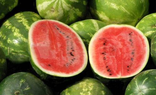 Страны-лидеры по выращиванию арбузов. История происхождения арбуза 01