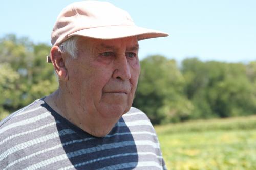 10 лучших сортов арбуза 2022 для теплицы и открытого грунта. Сорта арбузов для Подмосковья — ТОП-17 2022 года 11 10 лучших сортов арбуза 2022 для теплицы и открытого грунта. Сорта арбузов для Подмосковья — ТОП-17 2022 года 11