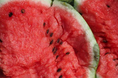 Дагестанские арбузы. Как выращивают арбузы в Дагестане