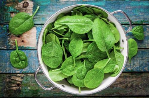 Откуда везут арбузы в россию 2022. Своё, но старое?