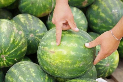 Арбузы в июле 2022. Красный и без нитратов: как выбрать арбуз в июле 2022 года – 5 важных советов