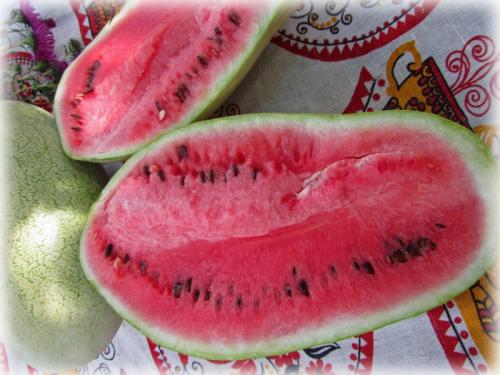 10 лучших сортов арбуза 2022 для теплицы и открытого грунта. Сорта арбузов для Подмосковья — ТОП-17 2022 года