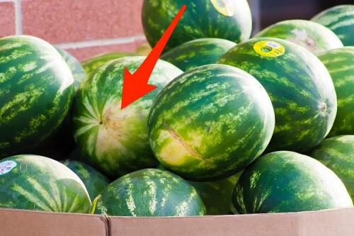 Арбузы в июле 2022. Красный и без нитратов: как выбрать арбуз в июле 2022 года – 5 важных советов