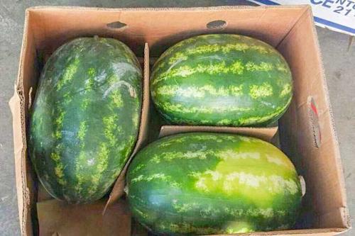 Откуда везут арбузы в мае. Привезли арбузы в мае