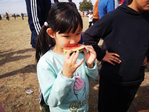 Где растут арбузы и дыни. Дыня в кулинарии 13