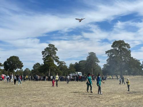 Где растут арбузы и дыни. Дыня в кулинарии 02 Где растут арбузы и дыни. Дыня в кулинарии 02