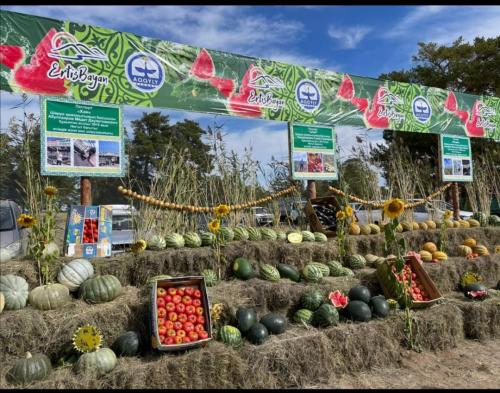 Где растут арбузы и дыни. Дыня в кулинарии 04