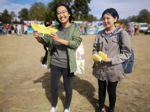 Где растут арбузы и дыни. Дыня в кулинарии 07