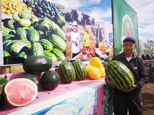 Где растут арбузы и дыни. Дыня в кулинарии 03