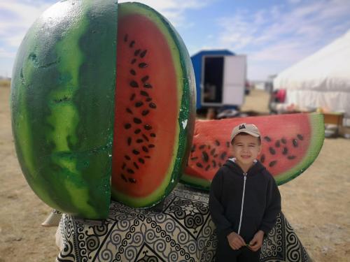 Где растут арбузы и дыни. Дыня в кулинарии 12 Где растут арбузы и дыни. Дыня в кулинарии 12