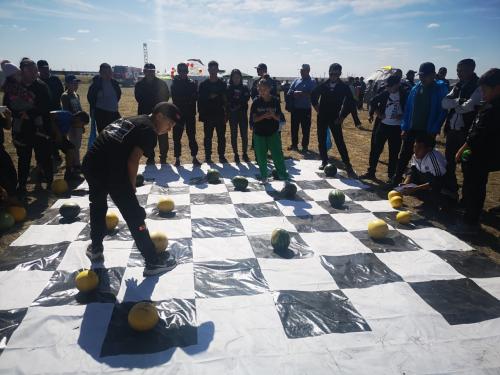 Где растут арбузы и дыни. Дыня в кулинарии 06