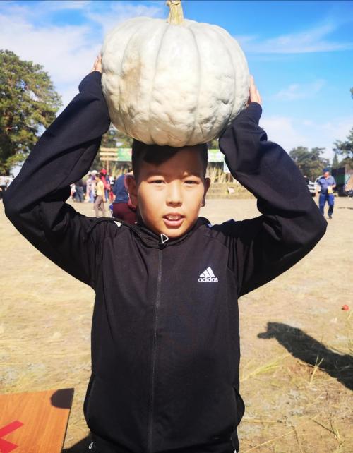 Где растут арбузы и дыни. Дыня в кулинарии 11 Где растут арбузы и дыни. Дыня в кулинарии 11