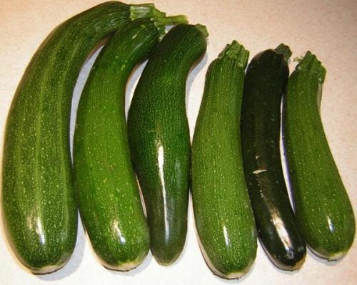 Когда убирать тыкву голосемянную. Голосемянная тыква 04 Когда убирать тыкву голосемянную. Голосемянная тыква 04