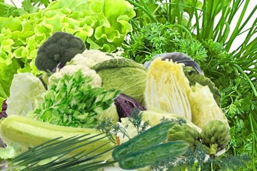 Особенности выращивания репы и ухода за ней. Выращивание репы – оптимальные условия 28