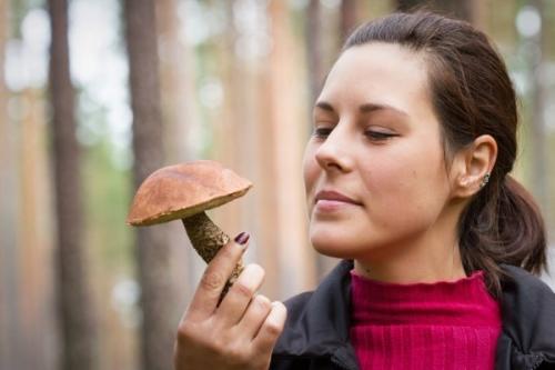 Їстівні гриби. Какие грибы можно есть без вреда для здоровья? Список съедобных грибов