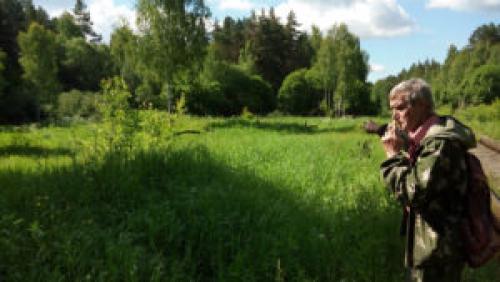 Как найти родник в лесу. Как найти родник? Родник путевого обходчика