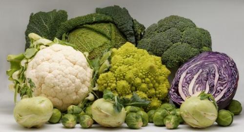 После чего можно сажать репу. Смотрим схему наоборот (что сажать после конкретных культур)