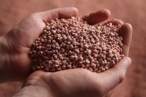 Чем подкормить свеклу в июле. Как и чем подкормить свеклу в июле 2021, чтобы была сладкой и лучше росла