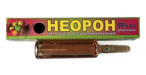 Весенняя обработка клубники. Чем и как обработать клубнику ранней весной? 08