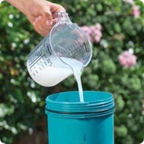 Чем обработать клубнику после зимы. КАК ОБРАБАТЫВАТЬ КЛУБНИКУ (ЗЕМЛЯНИКУ САДОВУЮ) ВЕСНОЙ ПОСЛЕ ЗИМЫ