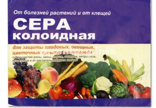Весенняя обработка клубники. Чем и как обработать клубнику ранней весной? 07