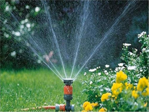 Как подготовить почву для высадки осенью