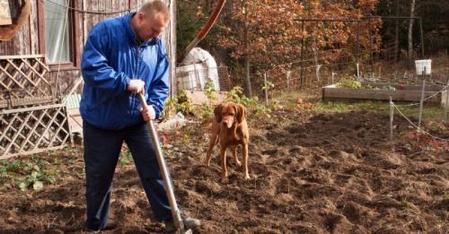 Как подготовить почву для высадки осенью. Как подготовить почву осенью для посадки: важнейшие этапы предзимней работы