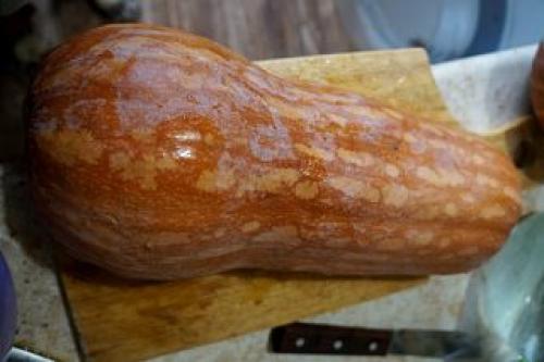 Что такое длинная тыква. Что такое баттернат?