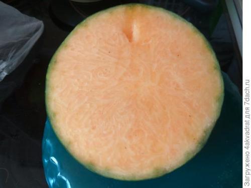 Каковы особенности длинной тыквы. Тыква Семейная: как мерить будем - в килограммах или сантиметрах?