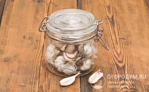 Как хранить чеснок в большом количестве. Популярные способы хранения