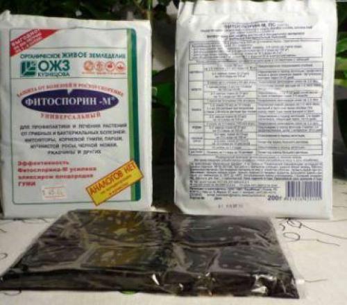 Почему огурцы желтеют. Почему желтеют огурцы и что делать